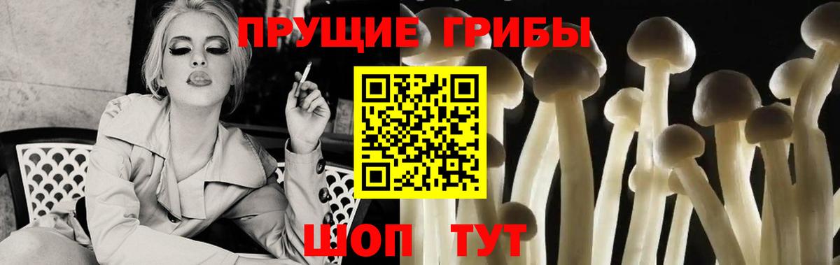 Галлюциногенные грибы прущие грибы Трёхгорный